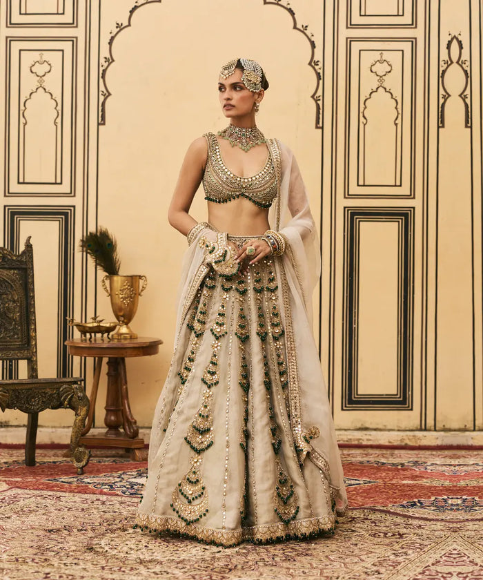 Rajat Paasa Tissue Lehenga Set