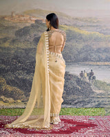 Kahani Jadau Organza Saree Set