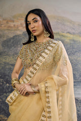 Kahani Jadau Organza Saree Set
