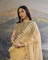 Kahani Jadau Organza Saree Set