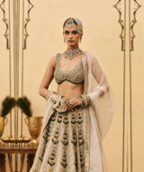 Rajat Paasa Tissue Lehenga Set