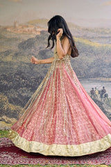 Gulbahar Mirror Lehenga Set