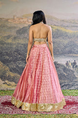 Gulbahar Mirror Lehenga Set