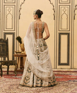 Rajat Paasa Tissue Lehenga Set