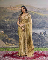 Zarvika Fusion Tissue Saree Set