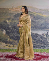 Zarvika Fusion Tissue Saree Set