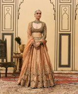 Chaand Baali Tissue Lehenga Set