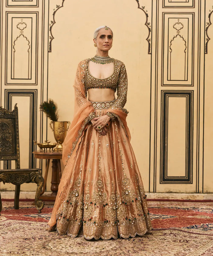 Chaand Baali Tissue Lehenga Set