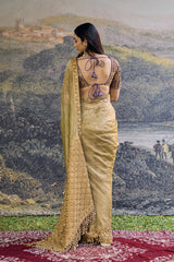 Zarvika Fusion Tissue Saree Set