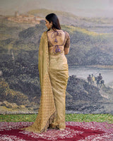 Zarvika Fusion Tissue Saree Set