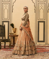 Chaand Baali Tissue Lehenga Set