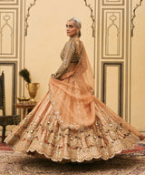 Chaand Baali Tissue Lehenga Set