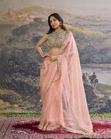 Padmika Saree Set