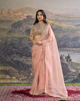 Padmika Saree Set