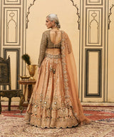 Chaand Baali Tissue Lehenga Set
