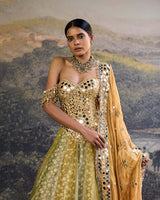 Hiranya Mirror Lehenga Set