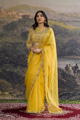 Peela Tara Organza Saree Set