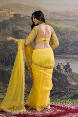 Peela Tara Organza Saree Set