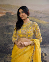 Peela Tara Organza Saree Set