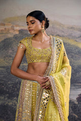 Rang Mahal Mirror Lehenga Set