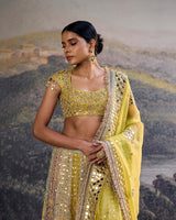 Rang Mahal Mirror Lehenga Set