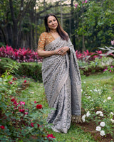 Chandi Rang Heritage Saree Set