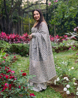 Chandi Rang Heritage Saree Set