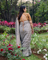 Chandi Rang Heritage Saree Set