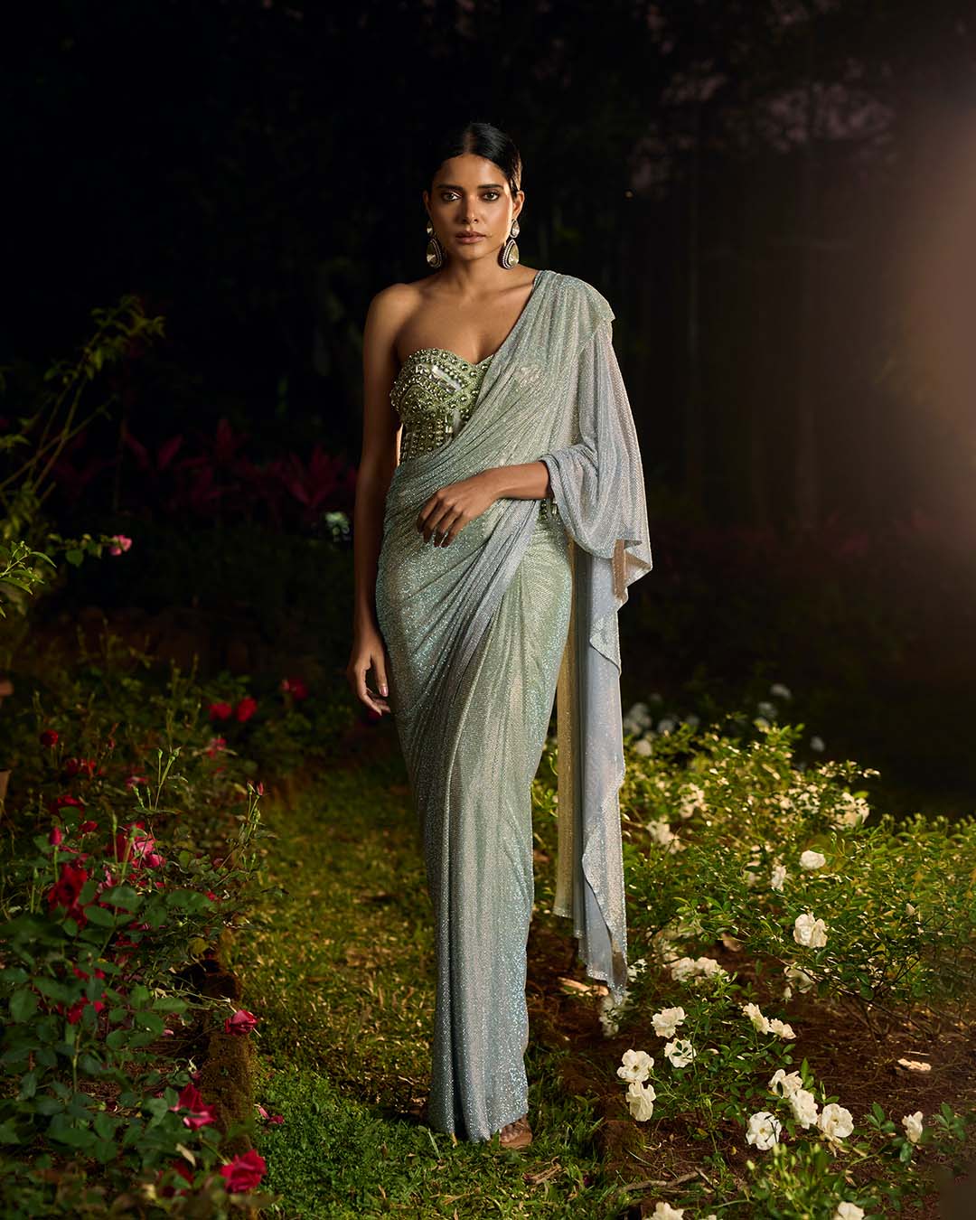 Pista Noor Crystal Saree Set