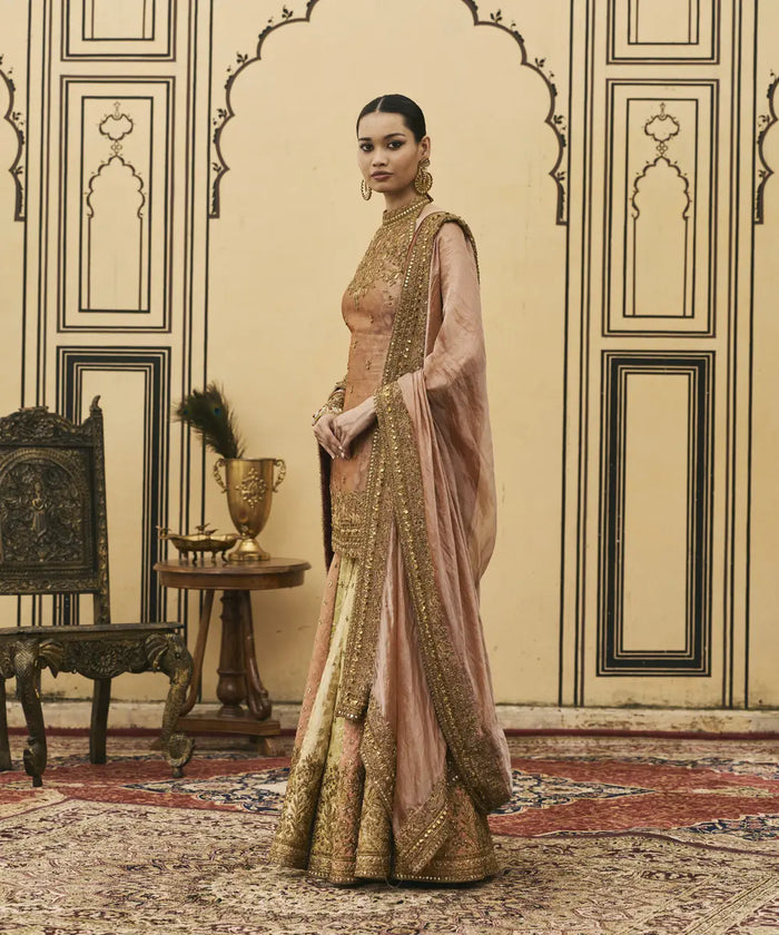 Aadhira Brocade Tissue Garara Set