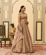 Raani Haar Tissue Lehenga Set