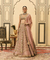 Raani Haar Tissue Lehenga Set