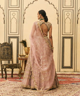 Raani Haar Tissue Lehenga Set