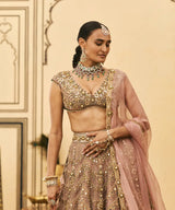 Raani Haar Tissue Lehenga Set