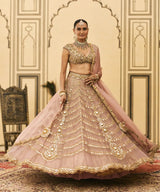 Raani Haar Tissue Lehenga Set