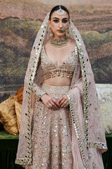 Rang de Gulaab Lehenga and Veil