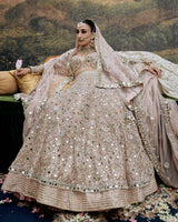 Rang de Gulaab Lehenga and Veil