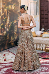 Titeeksha Lehenga Set