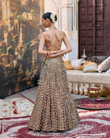 Titeeksha Lehenga Set