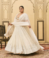Haathidant Organza Lehenga Set