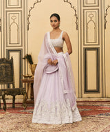 Baingani Organza Lehenga Set