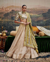 Sheesh Saanjh Lehenga