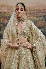 Shvet Afsana Lehenga and Veil