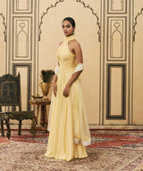 Makhani Georgette Gown Set