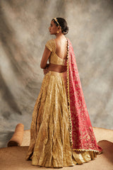 Sona Lehenga Set