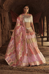 Gulnar Lehenga Set
