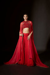 Vibrant Jewel Sharara