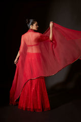 Vibrant Jewel Sharara