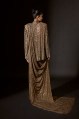 Fierce Feline Saree Blazer