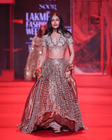 Tarakini Lehenga Set